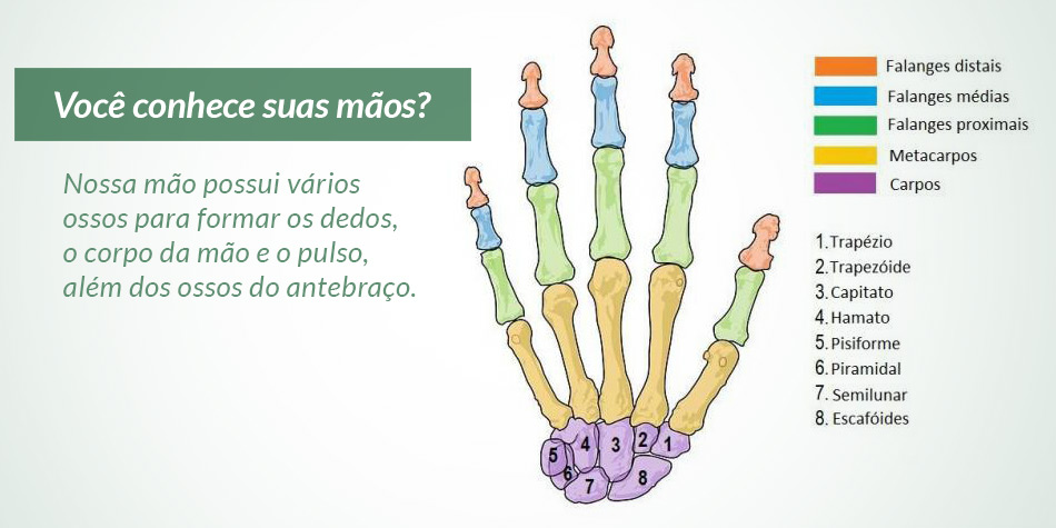 Você conhece suas mãos? - Cirurgia da Mão